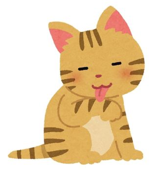 pet_cat_kedukuroi